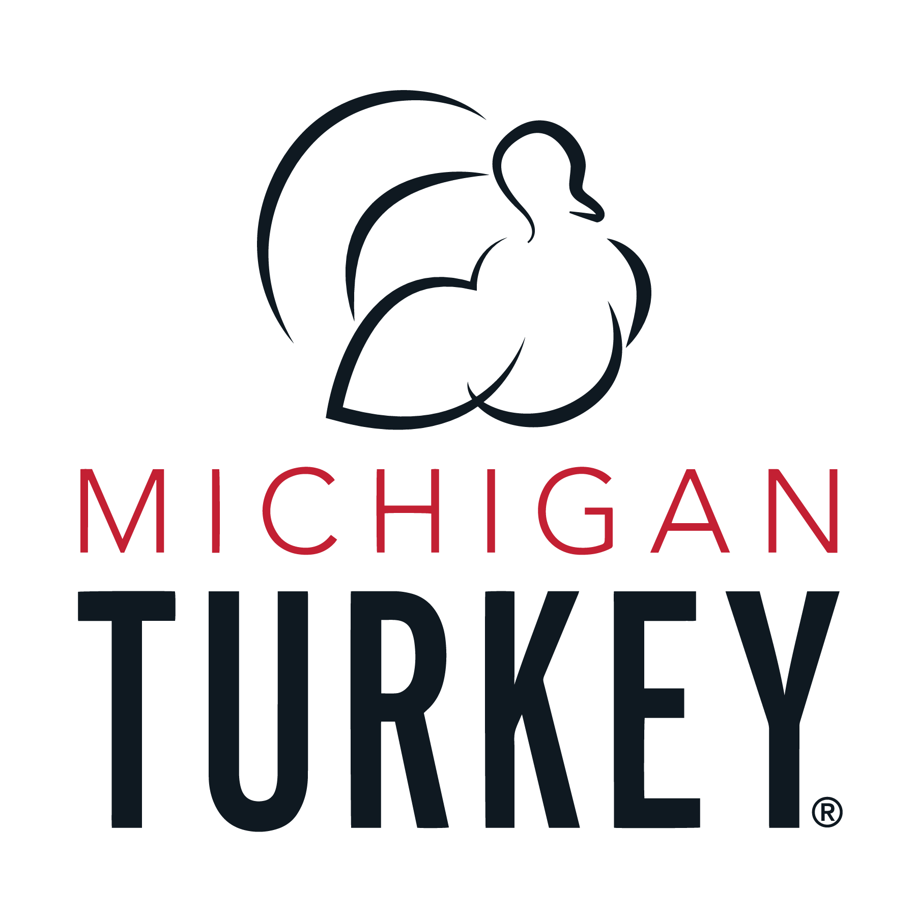 Michigan Turkey